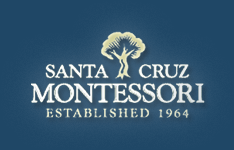 Santa Cruz Montessori Annual Yard Sale @ Santa Cruz Montessori