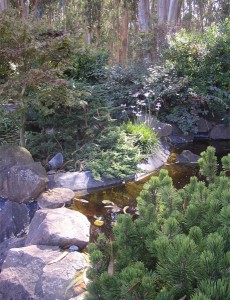 Energize Your Garden with FENG SHUI @ Native Revival Nursery