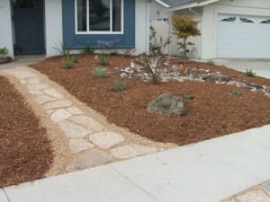 Lawn Alternatives Using California Native Plants @ Native Revival Nursery