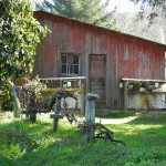 garden, aptos, santa cruz, soquel, business, county, capitola, scotts valley, times, news, newspaper, community, times publishing group, politics,