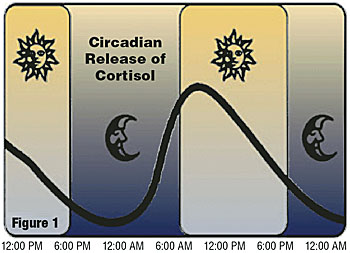 HH_Cortisol-Release Sleep Times Publishing Group Inc tpgonlinedaily.com