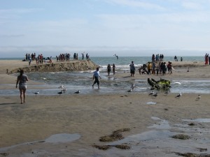 IMG_1910_2
