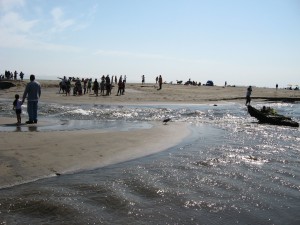 IMG_1912_2