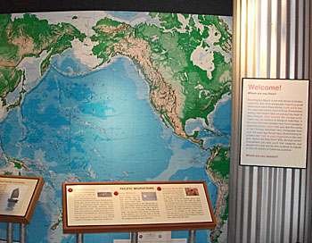 Migrations Display at the Pacific Migrations Visitor's Center Migrations-Center Visitor Center Times Publishing Group Inc, tpgonlinedaily.com
