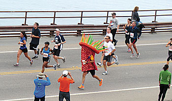 A group of typical racers in the Wharf to Wharf race! WtW_TypicalRunner Wharf to Wharf Times Publishing Group Inc tpgonlinedaily.com