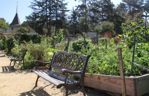 Aptos Garden 2