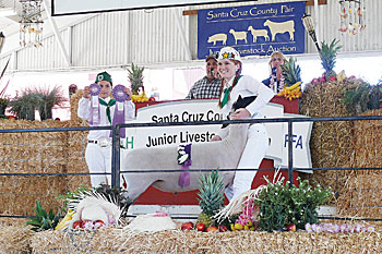 Fair-Livestock 4-H Times Publishing Group Inc tpgonlinedaily.com