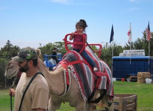 Young Lady on a Camel-web