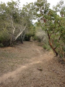 Press release photo for Cabrillo connection trail opening