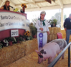 SV4H_Grand-Champion-pig