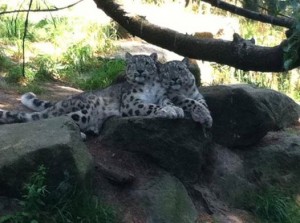 1688927_10151948481051973_1852637760_n