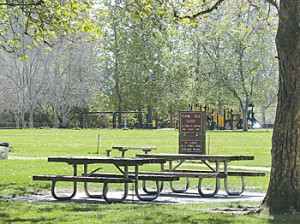 FriendParks_PintoLakePark Parks Improvements Times Publishing Group Inc tpgonlinedaily.com