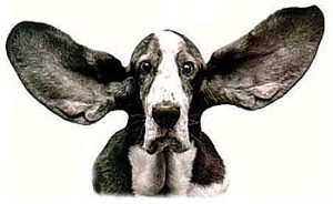 CVH_dog-scared Noise Times Publishing Group Inc tpgonlinedaily.com