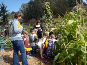 InnEd_kinder-scavenger-hunt Partnership Times Publishing Group Inc tpgonlinedaily.com