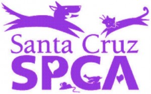 SPCA Logo
