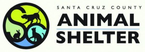 SCC_animalShelter_logo