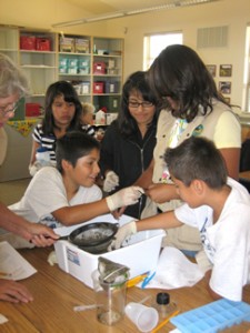 Aquat_Invert_lab_9_25_09