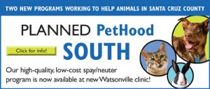 PlannedPethoodSouth_WebBan