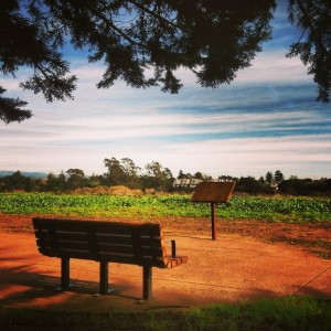 Arana GulchScenicOverlookandInterpretiveDisplay