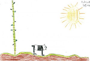 Words_Jackson Bear Times Publishing Group Inc tpgonlinedaily.com