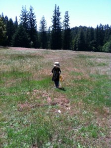 heatherpix7-2011_048