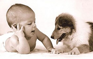 PetPot_dog-and-baby Kids and Dogs Times Publishing Group Inc tpgonlinedaily.com