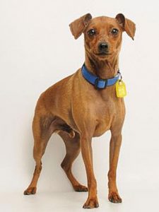 POTW_Gomez Gomez Times Publishing Group Inc tpgonlinedaily.com