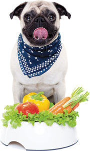 PetPot_pug-food Pet Food Labels Times Publishing Group Inc tpgonlinedaily.com
