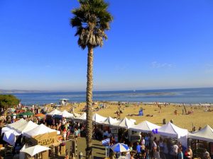 Festival_Esplanade_beach_palm tree_001