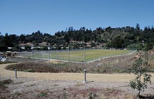 ASF_Empty-field build it Times Publishing Group Inc tpgonlinedaily.com