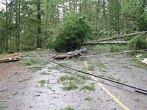 Friend_downedwires El Niño Times Publishing Group Inc tpgonlinedaily.com