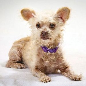 POTW_Rosie Rosie Times Publishing Group Inc tpgonlinedaily.com