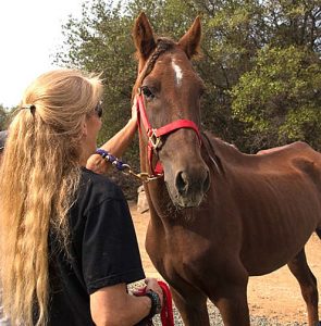 APRODEA_Rafael-Homecoming-15-L Ride of his Life Times Publishing Group Inc tpgonlinedaily.com