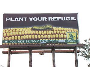 Evolution_PlantYourRefuge2 Big Fish Times Publishing Group Inc tpgonlinedaily.com