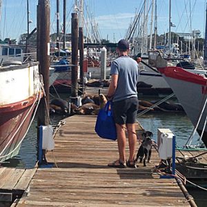 KatherineODea_Dockwalker-Program Katherine O’Dea Times Publishing Group Inc tpgonlinedaily.com