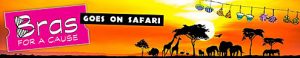 Serengeti_cropped-Goes-on-Safari-Header Serengeti Under the Stars Times Publishing Group Inc tpgonlinedaily.com