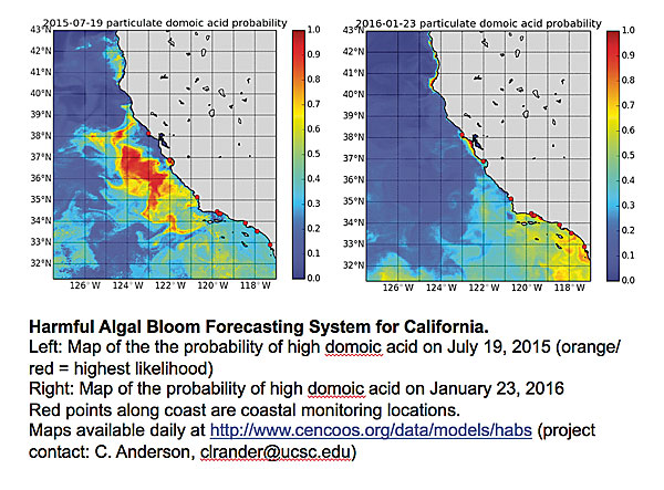 ScienceSea_Algal-Blooom Algal Blooms Times Publishing Group Inc tpgonlinedaily.com