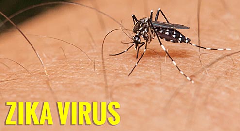 Prevent Zika Times Publishing Group Inc tpgonlinedaily.com