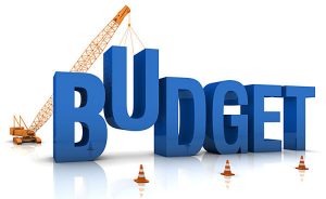 County Budget Times Publishing Group Inc tpgonlinedaily.com