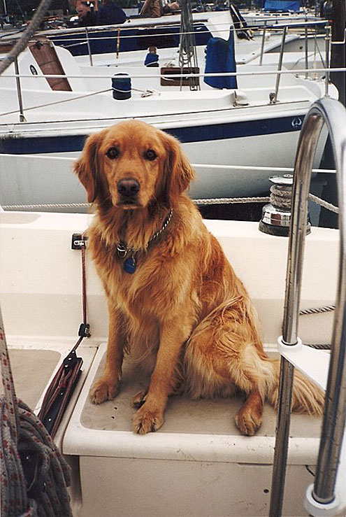 Sail Times Publishing Group Inc tpgonlinedaily.com